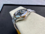file_3153-1.jpg
