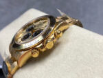 file_5783-1.jpg